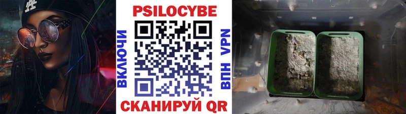 Псилоцибиновые грибы GOLDEN TEACHER  Звенигород 