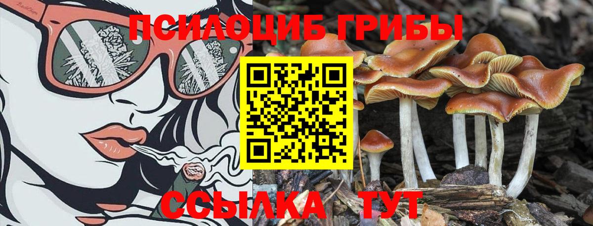 Псилоцибиновые грибы прущие грибы Звенигород